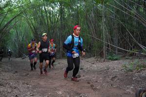 BIB: 3463, 3619
                            <button type="button" onclick="openModal(4103129)" class="btn btn-primary btn-sm float-right btn-popup" data-toggle="modal" data-target=".modal-high-quality">
                        <i class="fas fa-shopping-cart"></i> Add to Cart
                    </button>
                                            <button type="button" onclick="isThisMe(4103129, true)" class="btn btn-success btn-sm float-right btn-popup btn-isme hidden" data-toggle="tooltip" data-placement="bottom" title="นี่คือรูปของคุณใช่ไหม คลิกที่นี่เพื่อเอาเข้าอัลบั้ม">
                        <i class="fas fa-plus"></i> Add to album
                    </button>
                    <button type="button" onclick="isThisMe(4103129, false)" class="btn btn-warning btn-sm float-right btn-popup btn-isnotme hidden">
                        <i class="fas fa-ban"></i> Remove from album
                    </button>